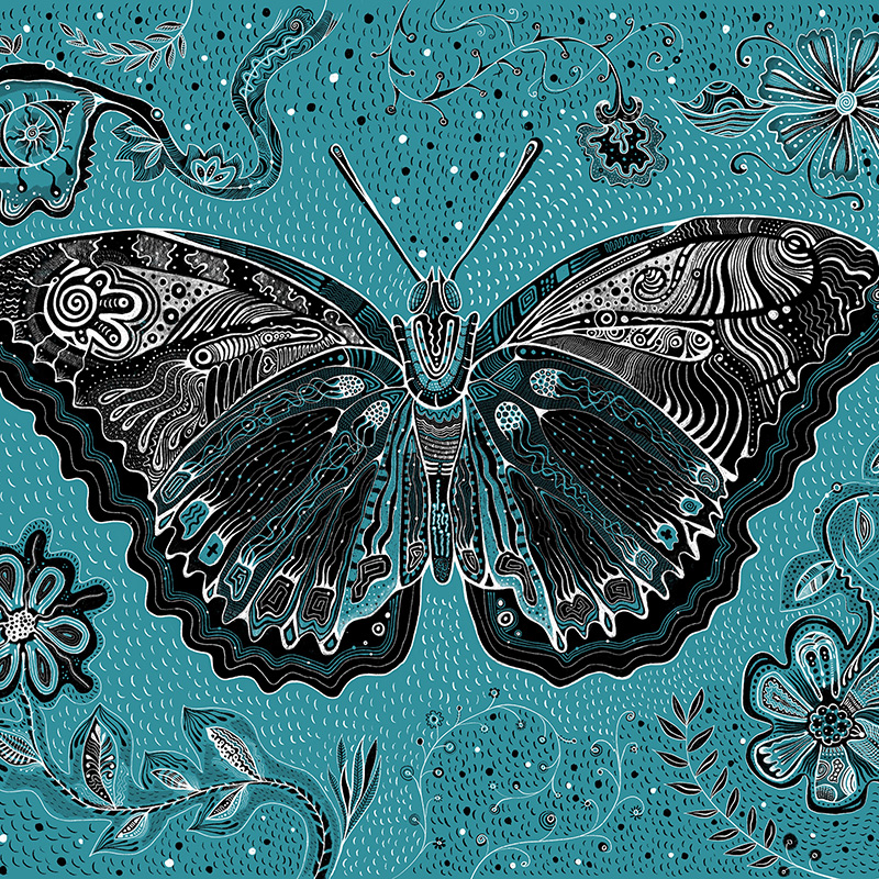 butterfly preview