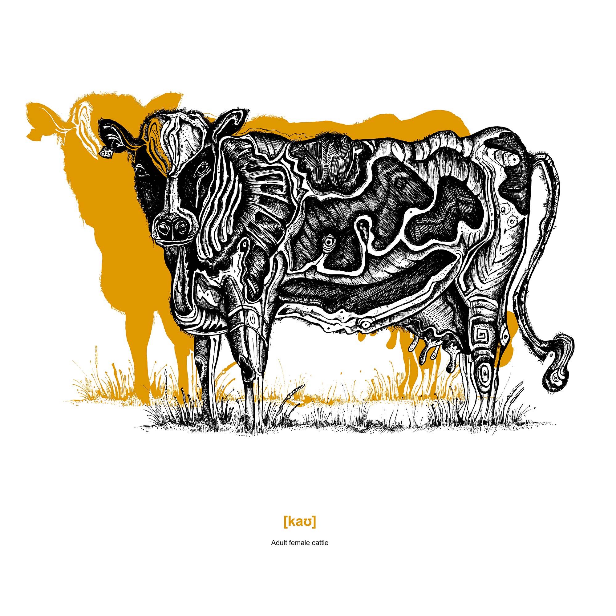 cow illustration