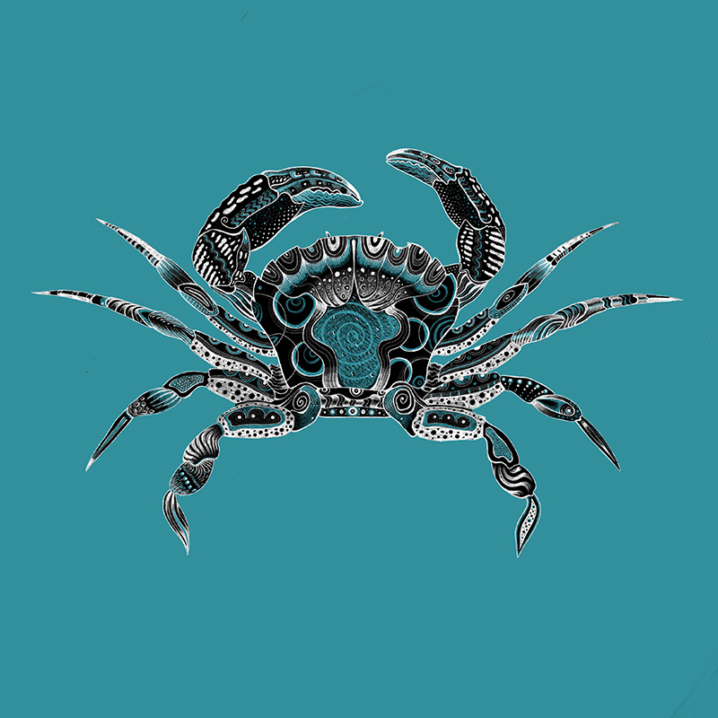 crab illusration