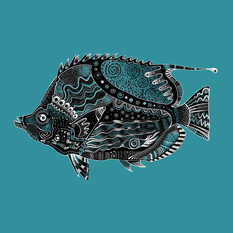 sceptical fish preview