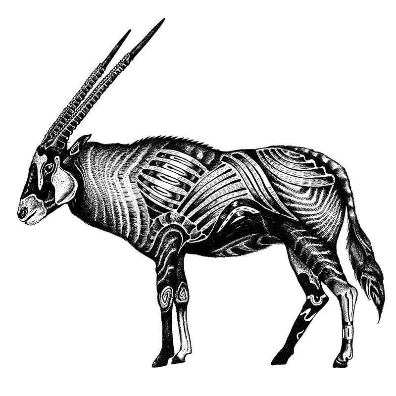 Oryx drawing preview