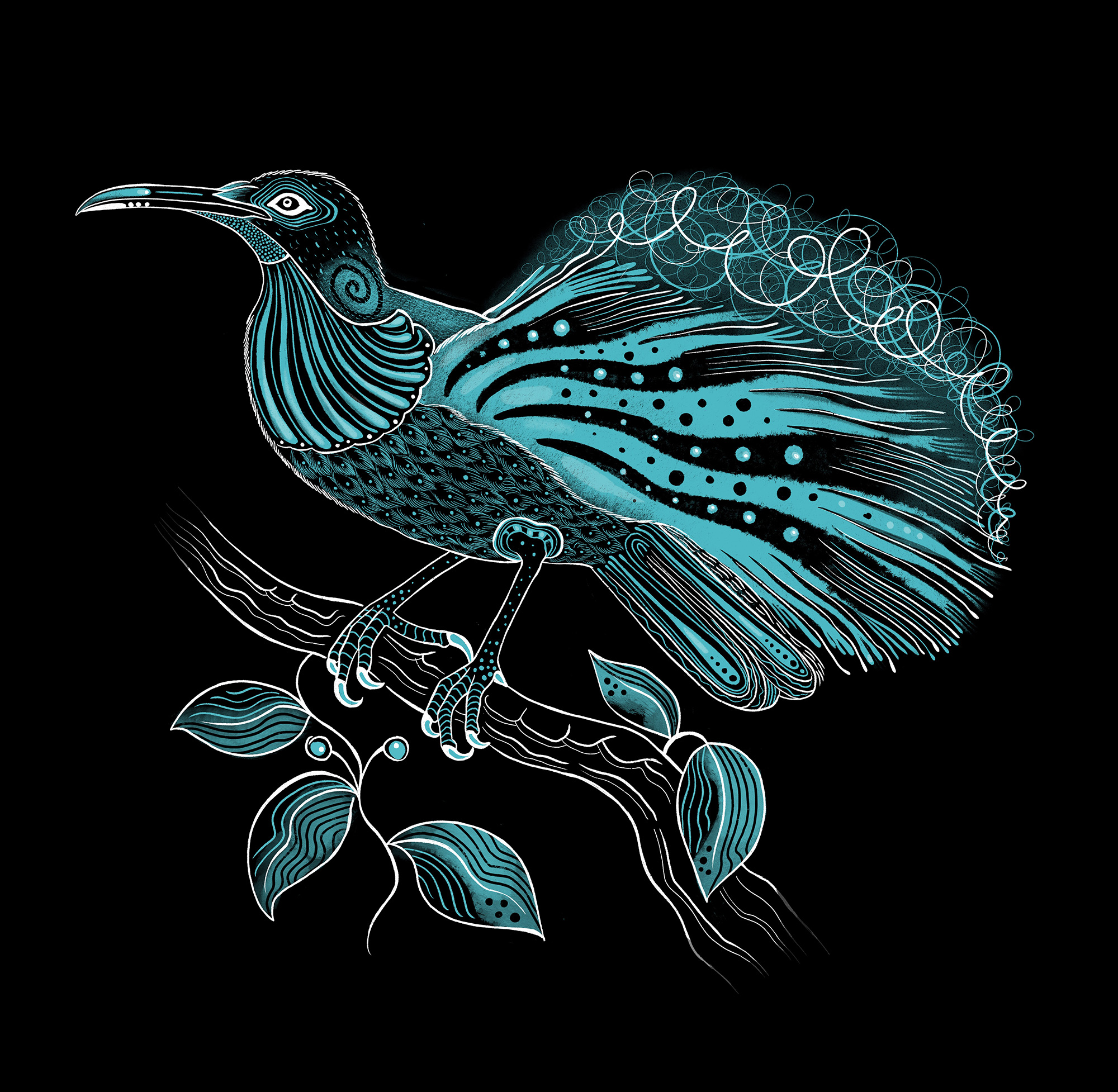 Bird of paradise sitting on a branch