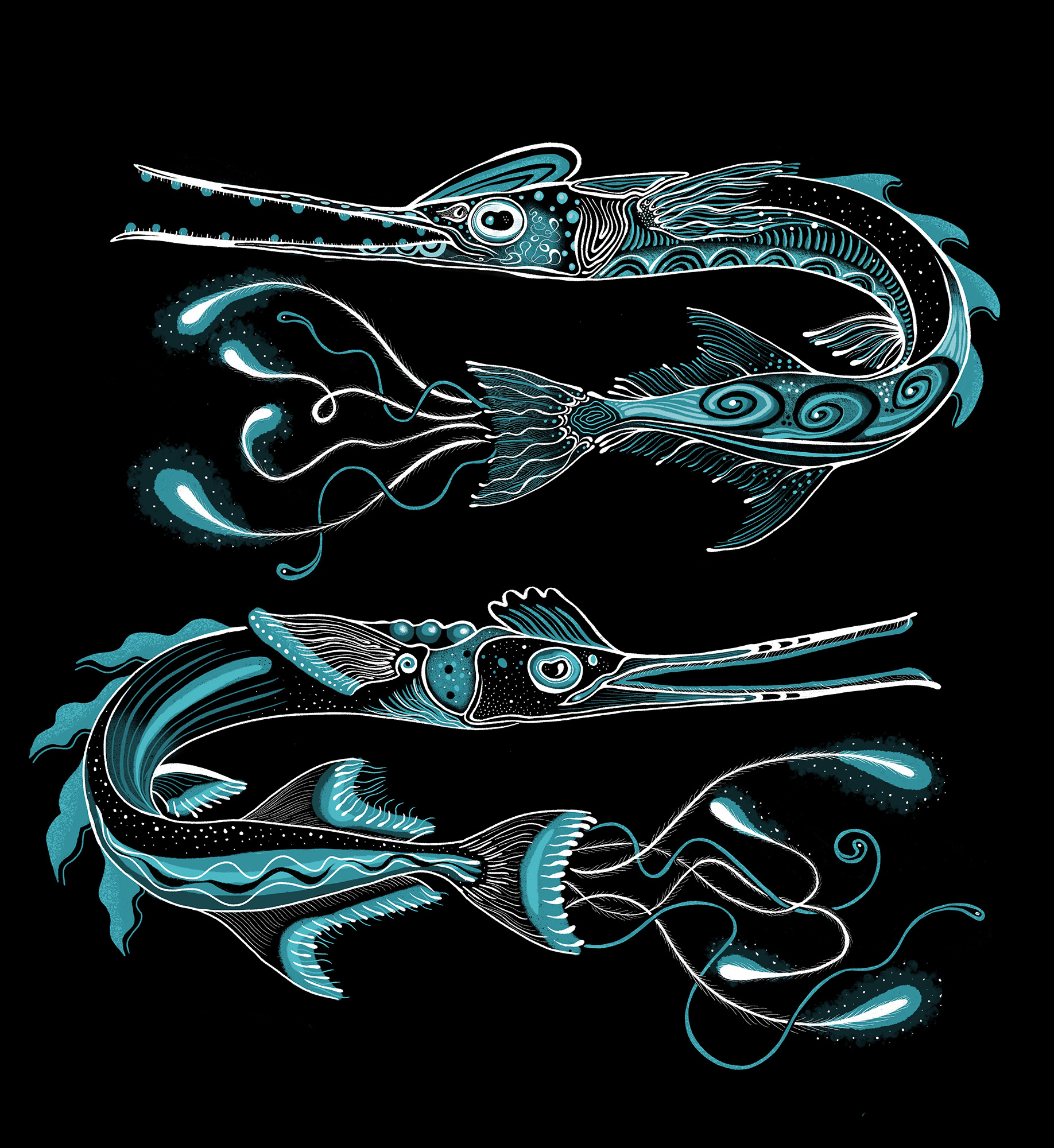 Pair of predator fishes