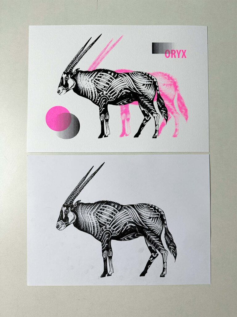 oryx-orginal-drawing original drawing of oryx and the final screen print of the vectorized oryx