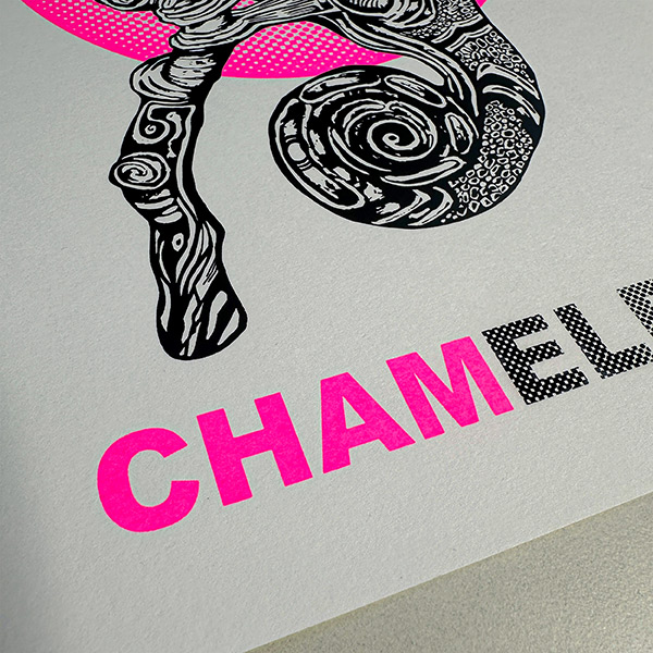 detail text chameleon print
